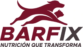 Barfix