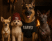 Perros de diferentes razas frente a una chimenea con tazones de BARF, cada uno con el logotipo de BARFix, representando nutrición natural para perros en Xalapa.
